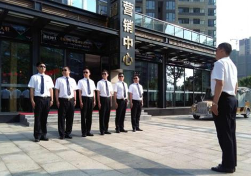 蜜桃视频APP色版网站常駐保安服務
